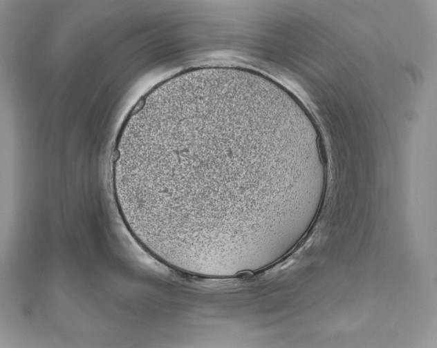 X0000111051392200907161356