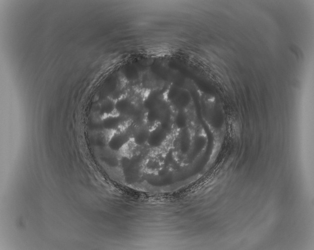 X0000111051393200907161355