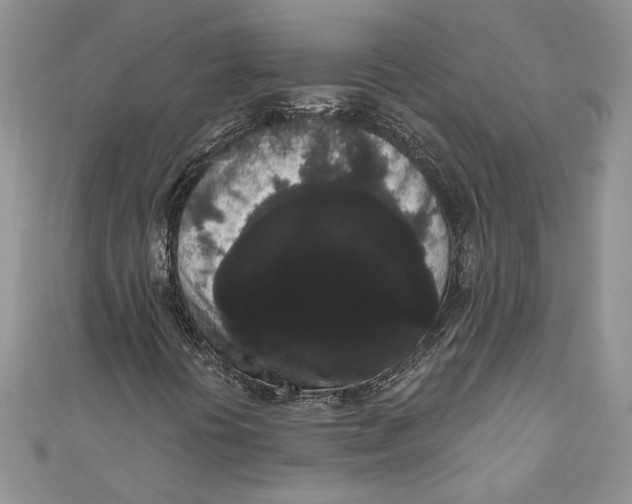 X0000111051394200907161355