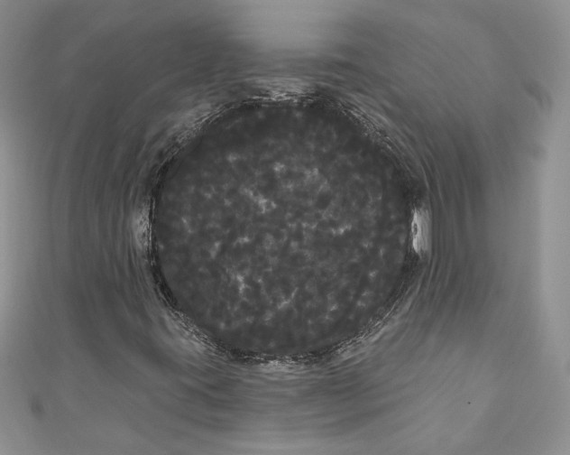 X0000111051395200907161355