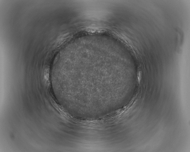 X0000111051396200907161355