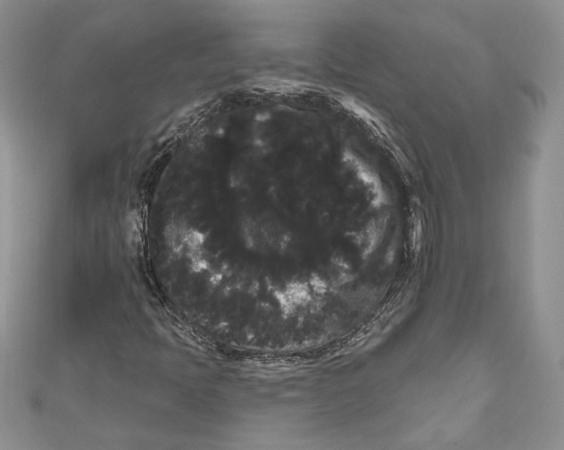 X0000111051397200907161355