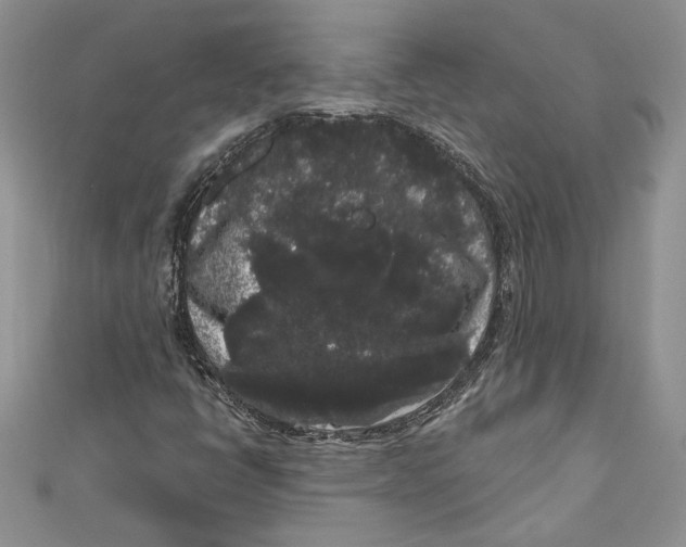 X0000111051398200907161355