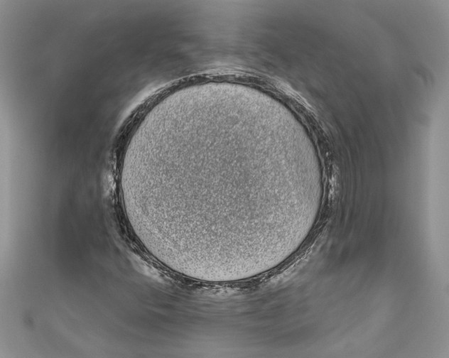 X0000111051400200907161355