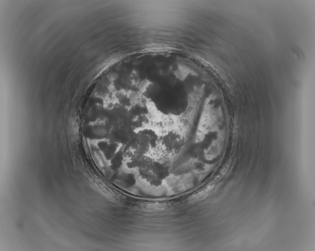 X0000111051401200907161355