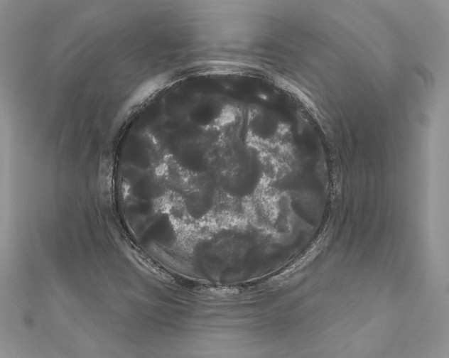 X0000111051403200907161356