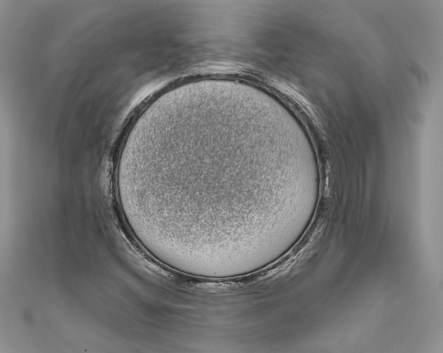 X0000111051404200907161356