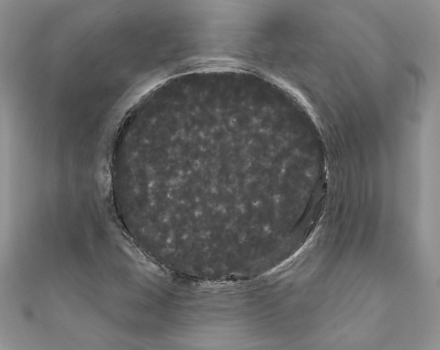 X0000111051407200907161356