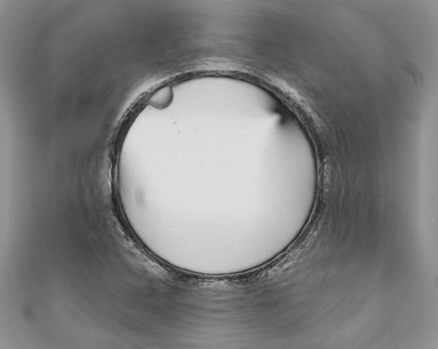 X0000111051408200907161356