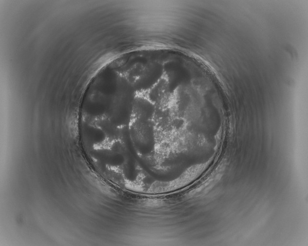 X0000111051409200907161356