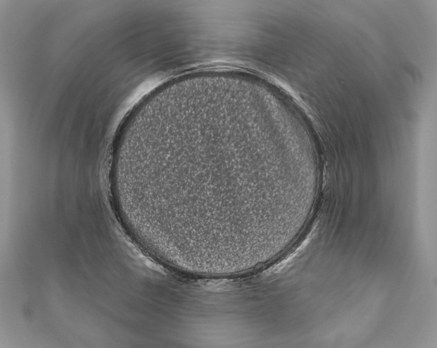 X0000111051410200907161356