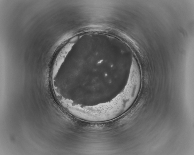 X0000111051411200907161356