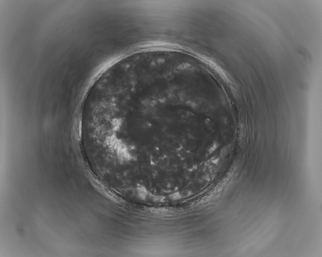 X0000111051413200907161356