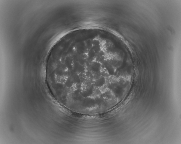 X0000111051415200907161356