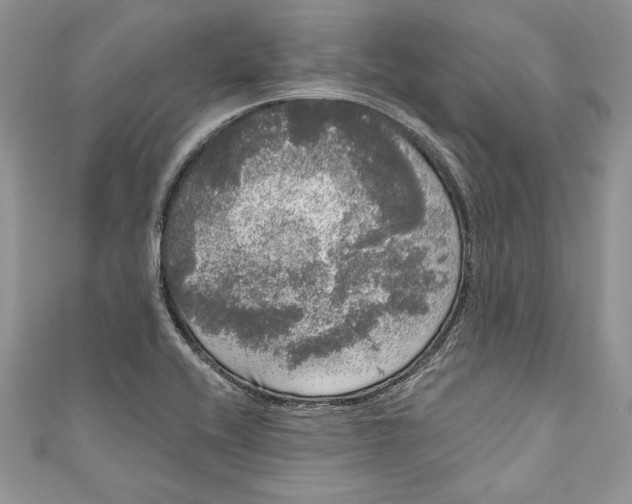 X0000111051416200907161356