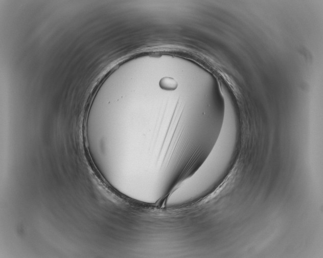 X0000111051417200907161356