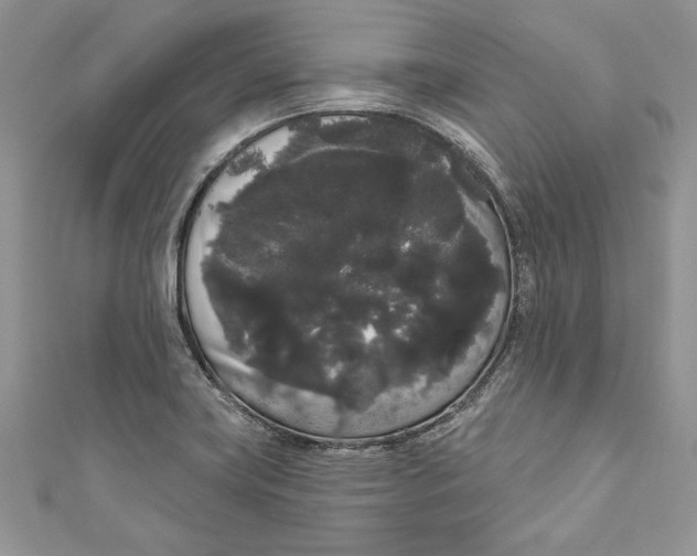 X0000111051419200907161356