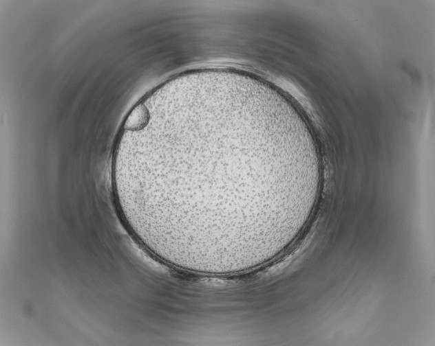 X0000111051420200907161356