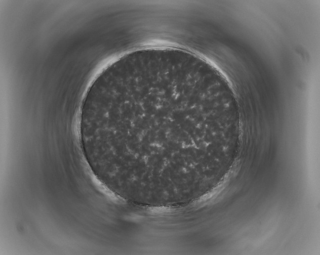 X0000111051421200907161356