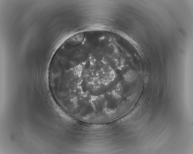 X0000111051423200907161356