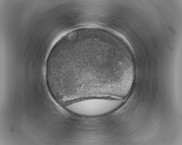 X0000111051424200907161356