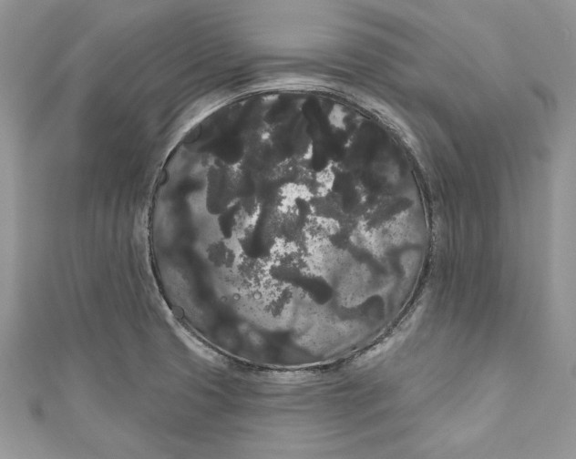 X0000111051425200907161356