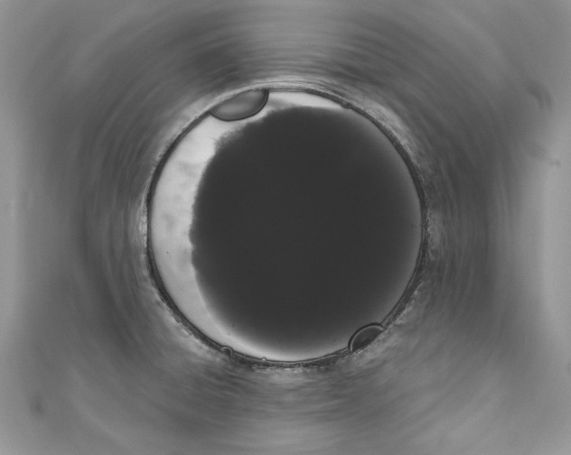 X0000111051428200907161356