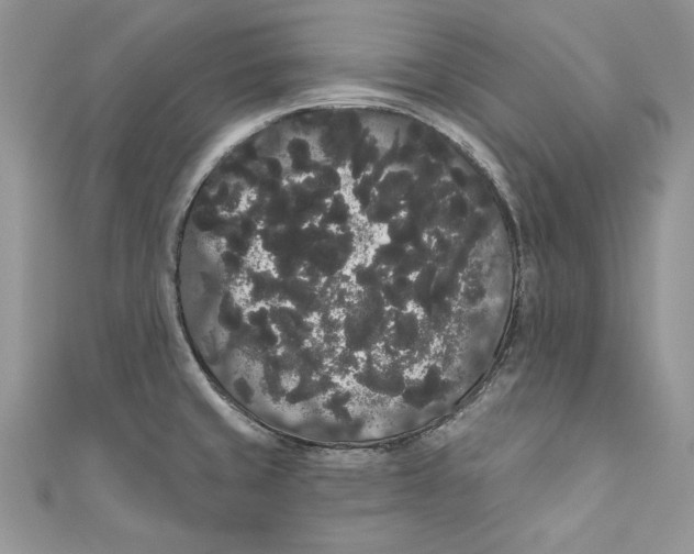 X0000111051429200907161356