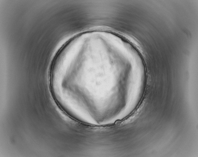 X0000111051430200907161356