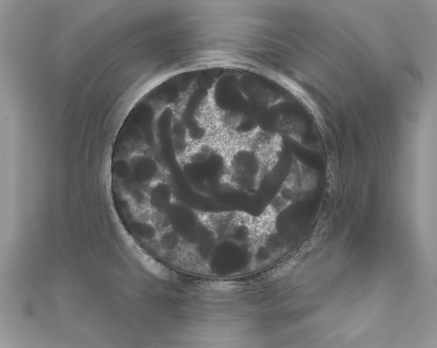 X0000111051431200907161356