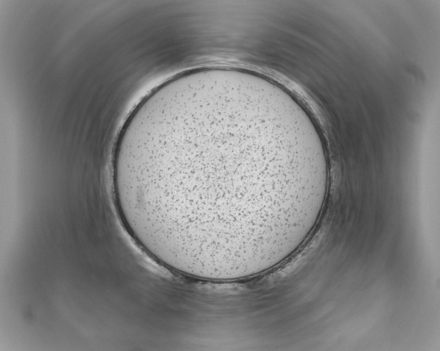 X0000111051432200907161356