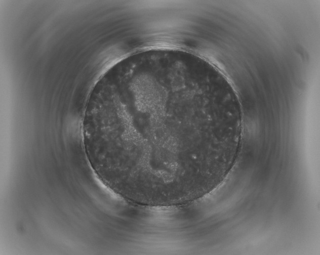 X0000111051433200907161356