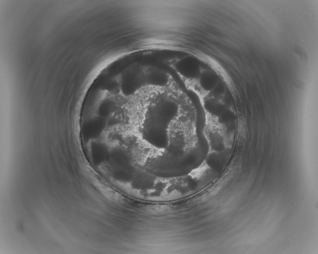 X0000111051435200907161356