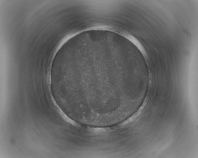 X0000111051436200907161356