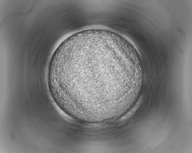 X0000111051438200907161356