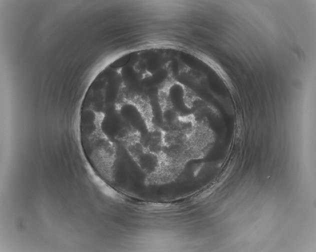 X0000111051439200907161356