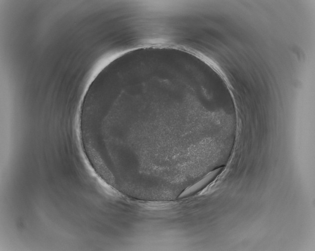 X0000111051440200907161356