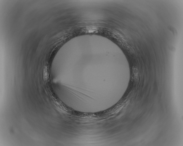 X0000111051442200907161355