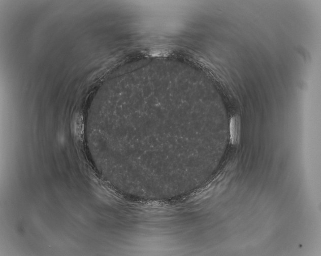 X0000111051443200907161355