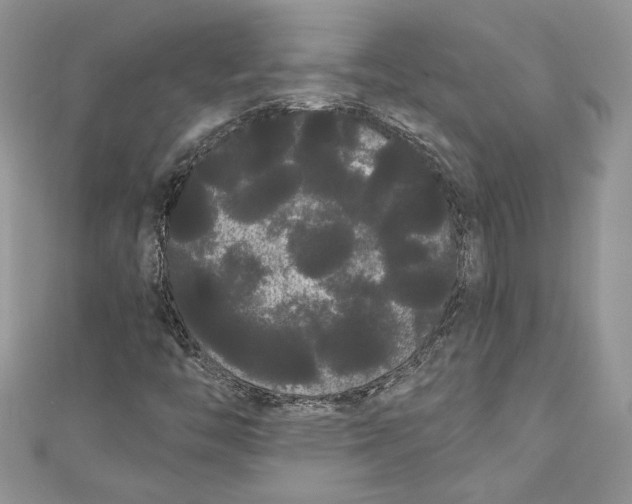 X0000111051446200907161355