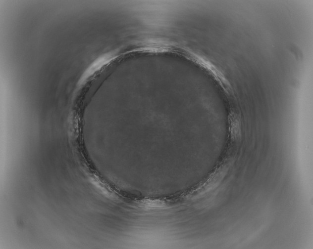 X0000111051448200907161355