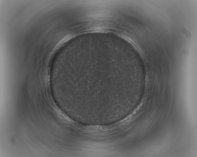 X0000111051450200907161355