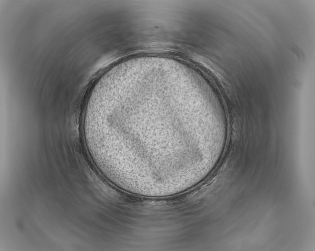 X0000111051451200907161355