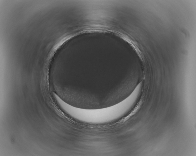 X0000111051453200907161355