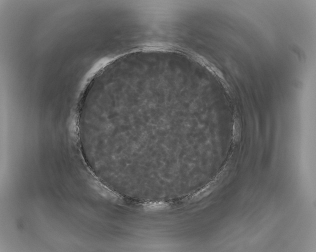 X0000111051454200907161355