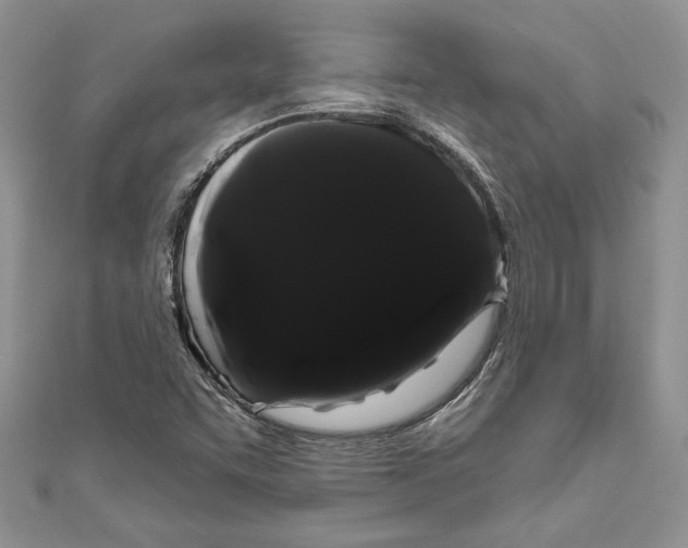 X0000111051455200907161355