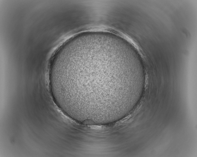 X0000111051456200907161355