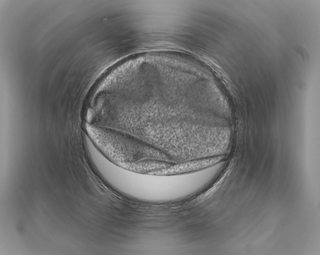 X0000111051457200907161355