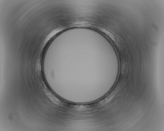 X0000111051458200907161355