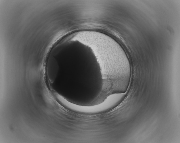 X0000111051459200907161355